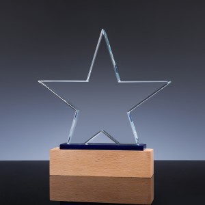 Προσαρμοσμένο Online Crystal Trophy