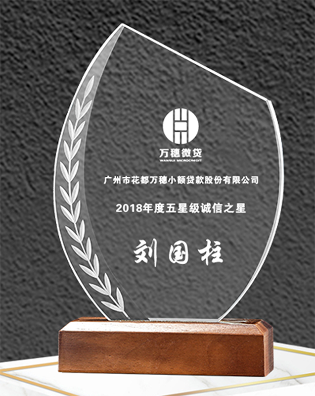 Premium Custom Medal Crystal Trophy med lasergravering