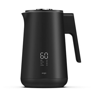 LED Temperature Display Electric Kettle HOT-W20