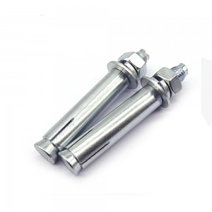 Factory made hot-sale China Stainless Steel Expansion Sleeve Anchor Bolt with Lifting Eye Nuts