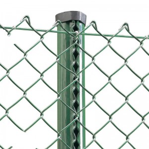 Συρμάτινο φράχτη Σύνδεσμος αλυσίδας Αγρόκτημα αλυσίδας φράχτη