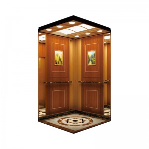 OEM Supply Autombile Lift - Villa elevator Artist’s Home Lift Noble Style YCHL-1606 Decorate our houses by high and new tech, Home Lift – YUNCHENG