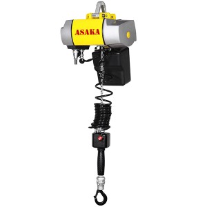 Top Quality Inverter Electric Chain Hoist by Hand Control with Best Price