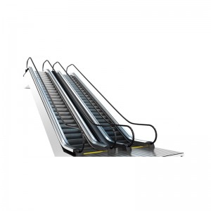 Personlized Products Geared Traction Elevator - Escalator – Fuji