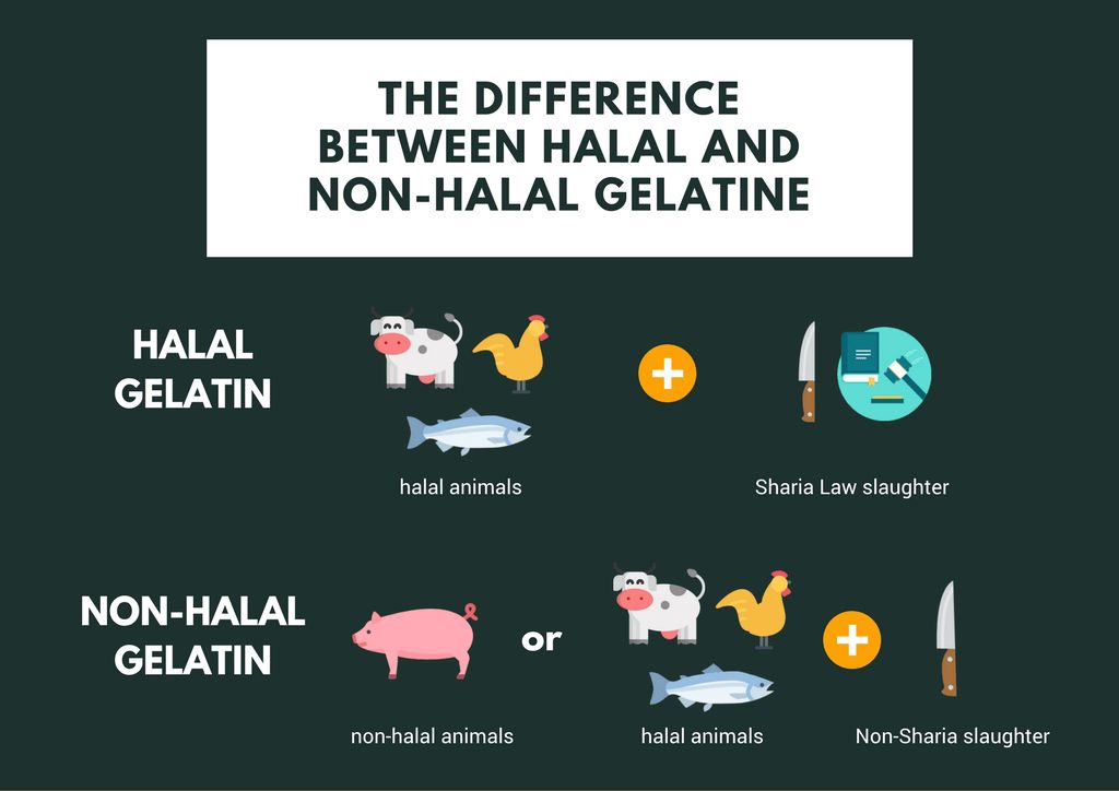 Halal Gelatin Types and Benefits: A Comprehensive Overview