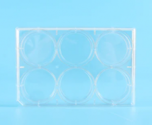High Quality Plastic Petri Culture Dish Cell Culture Plate