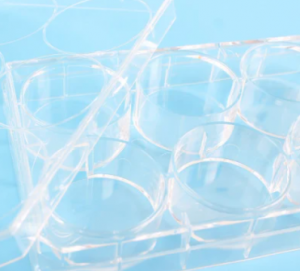 High Quality Plastic Petri Culture Dish Cell Culture Plate