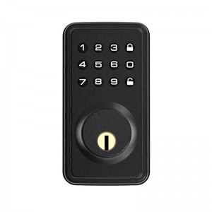 Waterproof Security Digital Zinc Alloy Entry Door Lock Electronic Keypad Smart Locks