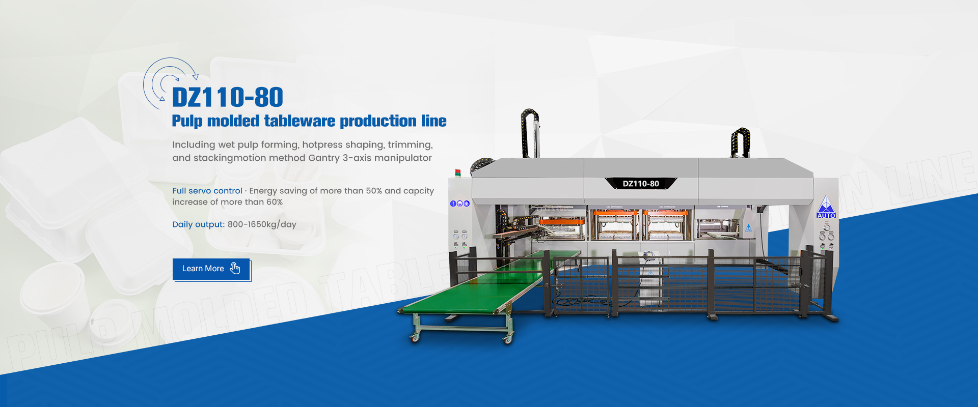 DZ110-80 pulp molded tableware production line