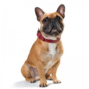 Custom Luxury High End Leather Pet Dog Collars Manufacturer