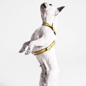 Custom Logo Luxury Yellow Leather Pet Dog Pugs Harness Manufacturer