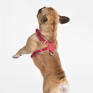 Custom Luxury Blue Leather Pet Dog Harness For Pugs Manufacturer