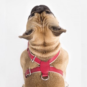 Custom Luxury Red Leather Pet Dog Harness For Pugs Manufacturer
