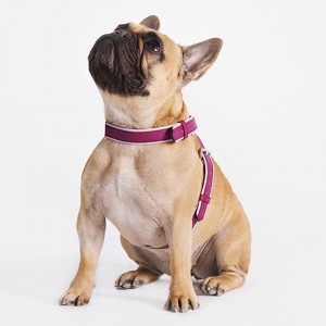 Custom Luxury Purple Leather Pet Dog Harness For Pugs Manufacturer