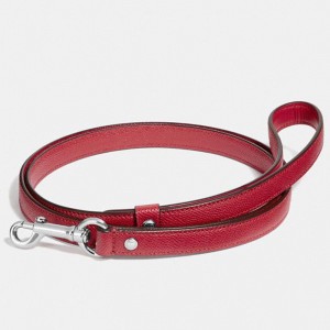 Custom Luxury Red Smooth Leather Pet Dog Small Leash Manufacturer