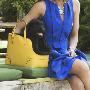 Custom Luxury Leather Pet Dog Travel Carrier Tote Bag Manufacturer