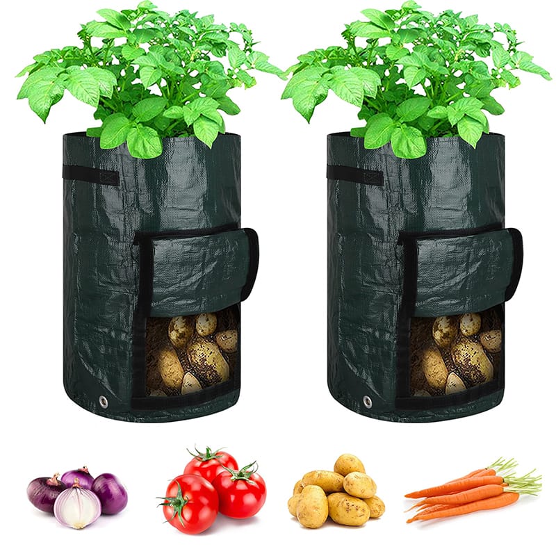 Best Quality Protection Bag - Growing bags for planting and agriculture no woven and plastic material Cold proof and antifreeze – BAIAO