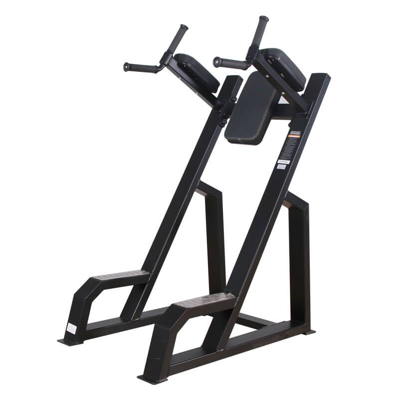 Leg Raise and Dip Station BS-F-1040