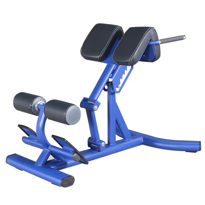 Hot Sale for Pulldown -  Commercial Fitness Equipment Roman Chair BS-ANS-3044 – Baisheng