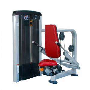 Commercial Triceps Press Machine BS-ANS-3016