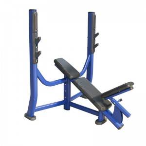Hot sale Functional Fitness Equipment - Olympic Incline Weight Bench BS-ANS-3028 – Baisheng