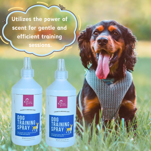 The Importance of Dog Training Sprays in Building a Strong Bond with Your Furry Friends！