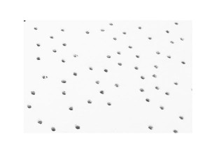 Lowest Price for Ceiling Tile - Mineral Fiber Ceiling BD001 – Beihua