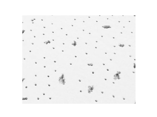 Top Suppliers Suspended Ceiling Tiles - Mineral Fiber Ceiling BH003 – Beihua
