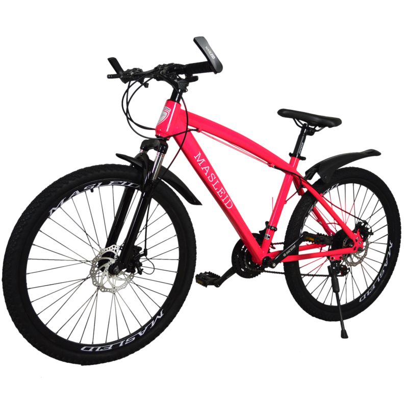 Special Design for Enduro Mtb Bikes - 30 Speed 27 Speed MTB For Female Male Phoenix Factory Mountain Bicycle – Beimudou