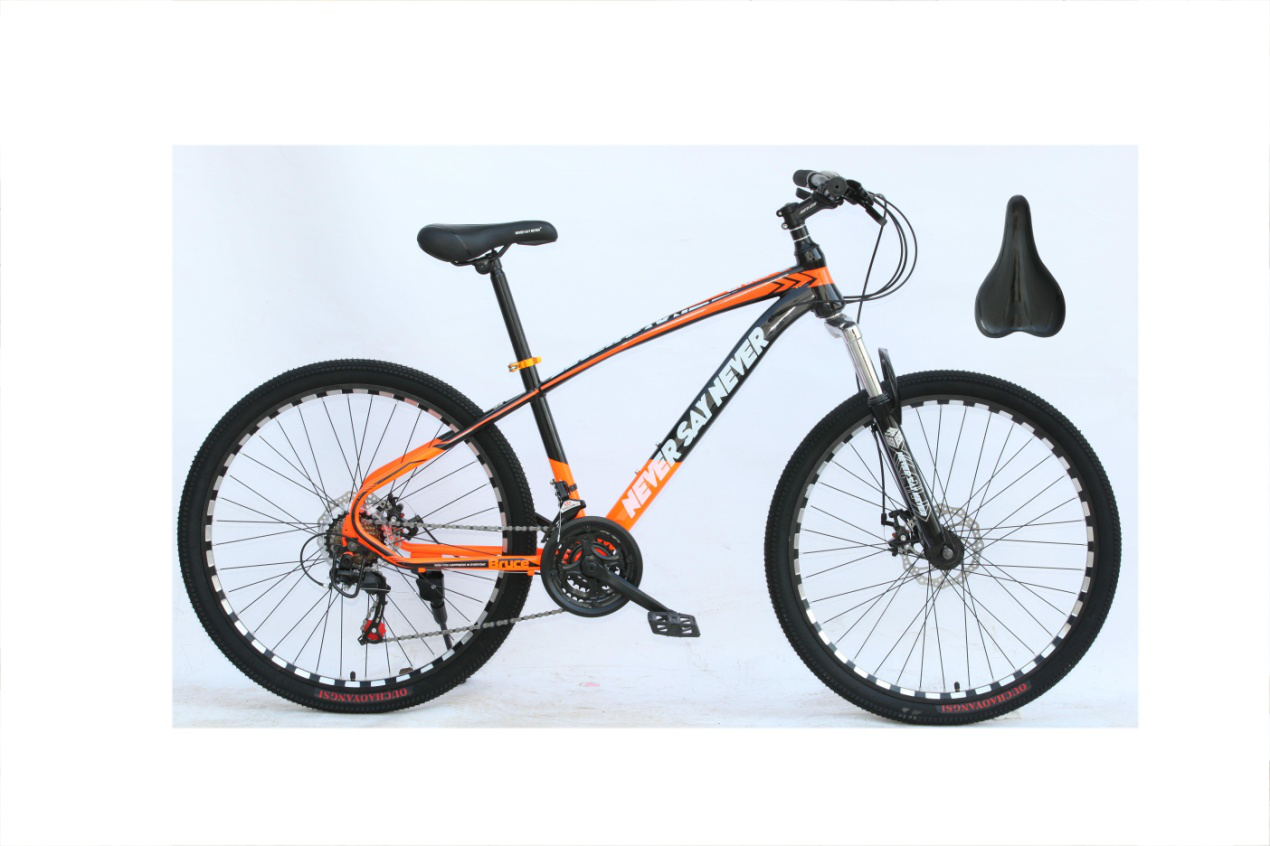 2021 Mountain Bike From China/Road Bikes for Adults