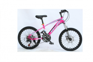 Special Design for Mtb Bike For Sale - Aluminium Alloy 20 Inch Children Kids Mountain Bike – Beimudou