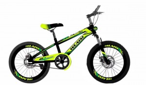 OEM Customized Pink Balance Bike - Factory directly selling 20 inch kids bicycle /bike for children 20 kids bike – Beimudou