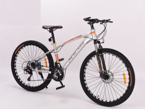 Renewable Design for Womens Mountain Bike - 29″ Alloy Frame Suspension Fork Mountain Bike 12 Speed Bicycle OEM – Beimudou