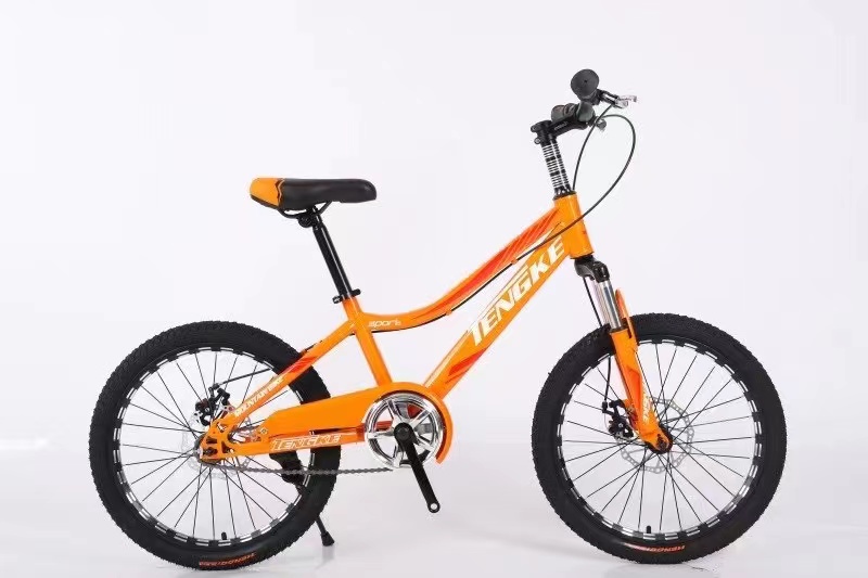 Factory selling Adult Mountain Bike - Bicycle for kids steel Frame mtb bmx bikes mountain road cycle mountainbike fat bike in 20 inch – Beimudou