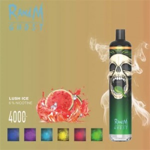 Disposable Electronic Cigarette Randm Ghost 4000 Puffs