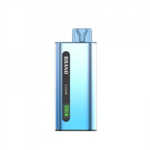 The Newest RIZOE 8000 Puffs Dispposable and Rechargeable Vape Pen
