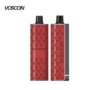 Disposable Vape Leather Mesh Coil Vaporizer E-Cigarette Wape 6000 Puffs Atomizer