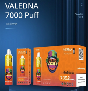 Valedna Disposable Vapes Wholesale I vape 7000 Puffs OEM Pod