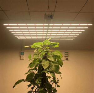 Greenhouse LED Green Leaf Plant Growth Light Full Spectrum Plant Fill Light