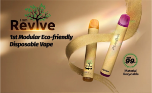 Peakbar Revive 600 Puffs Tpd Mhra Ufi Disposable Pod Vape Kit Electronic Cigarette