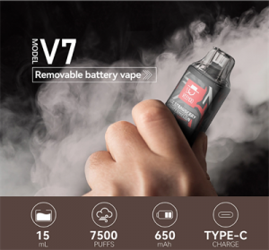 7500 Puffs Large E-Cigarettes with Replaceable Batteries Veehoo V7 vape