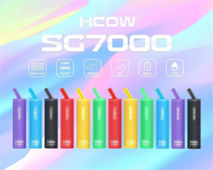 China Hot Selling 7000 Puffs 5% Empty 16 ml Pod Pen Disposable Hcow Sg 7000 Vape