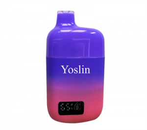Electric Cigarette 12000 Puffs Yoslin Factory Low Price Supply Mesh Coin VAPE