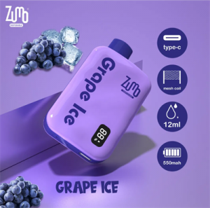 Wholesale 12ml E Juice E CIGS High Capacity 6000 Puffs Fruit Flavor Disposable Popular Vape