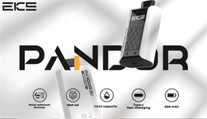 Eks Pandor 19ml 10000puff Disposable Rechargeable E-Cigarette OEM Custom Flavors Manufacturers Wholesale Vape