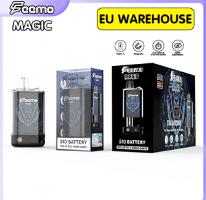 Most Popular Feemo Magic Disposable Vape Pod Charging Type C Rechargeable 650 mAh Recharger Battery