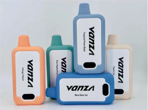 Original Vanza 8000 Puffs Disposable Vape Rechargeable with Display e cigarette