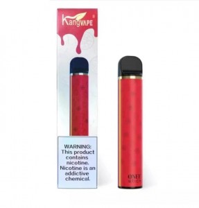 KangVape Onee Plus Best Selling Stick 2200 Puffs Disposable Vape Pen Kit