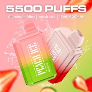 15ml 5000puffs Powerful Mesh Coil Box Disposable Vape with Type-C Charging Port