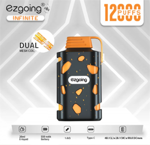 Ezgoing 12000 puff Dual Mesh Coil Type-C Rechargeable Shop Popular Disposable Vape